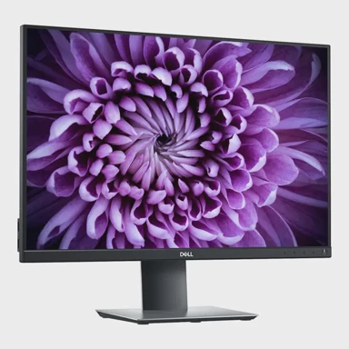DELL Monitor P2421, 24", 1920 x 1200, VGA, DVI, HDMI, DisplayPort, USB Hub, crno-srebrni